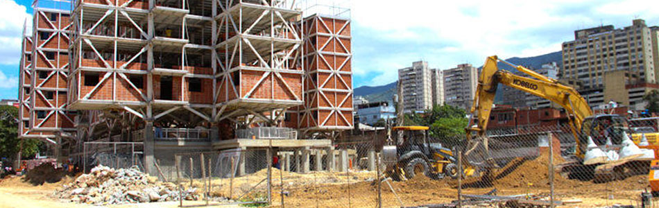 Reflexiones Sobre la Construcción del Ecosocialismo